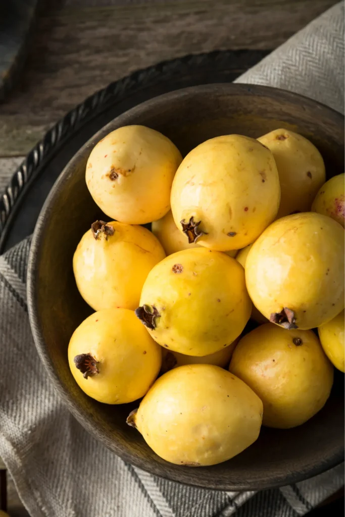 Guayaba tropical y dulce antioxidante