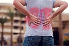 Nutrientes esenciales que apoyan la desintoxicación y la función del sistema urinario.
