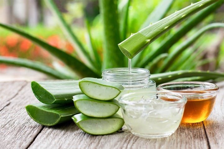 Sábila con miel con propiedades nutritivas y curativas natural y desinflamatorio