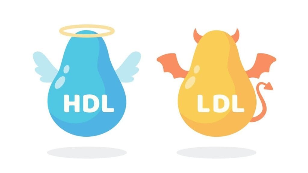 Cómo equilibrar el colesterol HDL y LDL. Opciones saludables para mantener un corazón saludable y mejorar el control glucémico."
