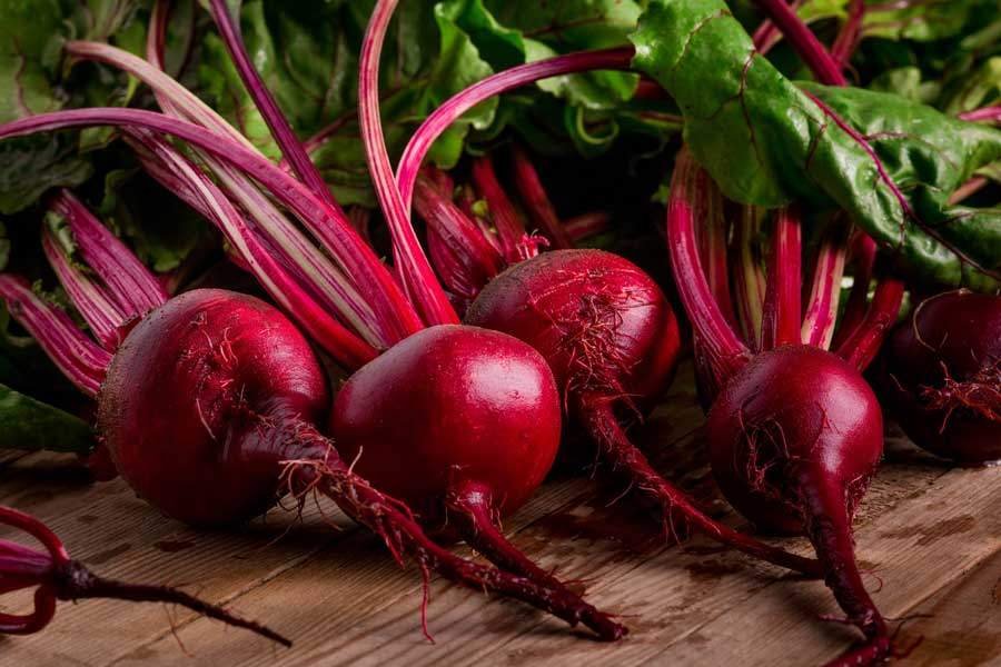 Betabel fresco, rico en antioxidantes, fibra y propiedades antiinflamatorias. Ideal para mejorar la circulación, apoyar la salud renal totalmente natural.